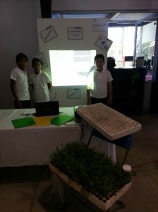 escolarización en escuelas regulares (13)