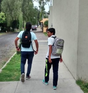 escolarización en escuelas regulares (16)