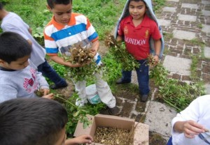 taller de hidroponía y agricultura sustentable (1)