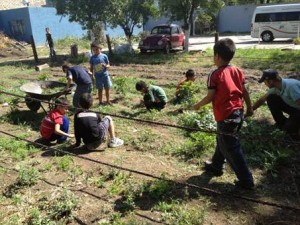 taller de hidroponía y agricultura sustentable (2)