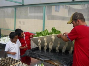 taller de hidroponía y agricultura sustentable (3)