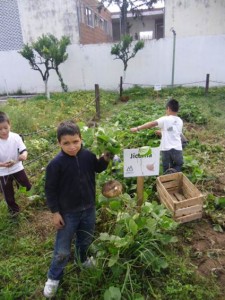 taller de hidroponía y agricultura sustentable (6)