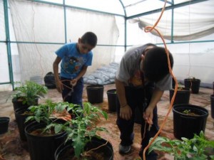 taller de hidroponía y agricultura sustentable (7)